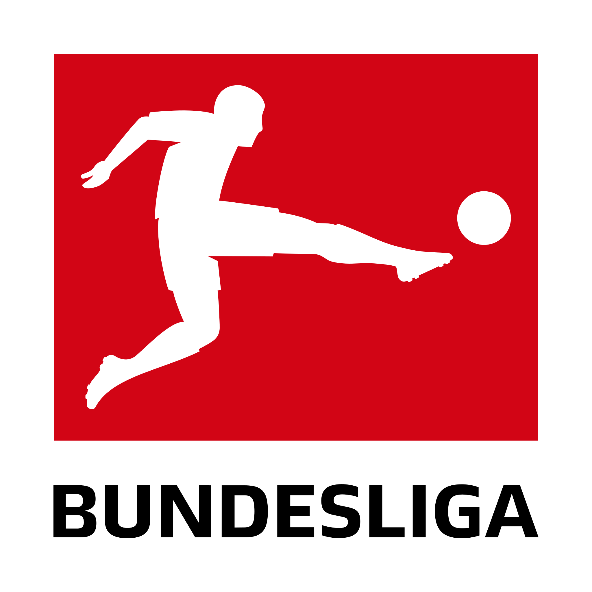 BUNDESLIGA JerseyPlugz