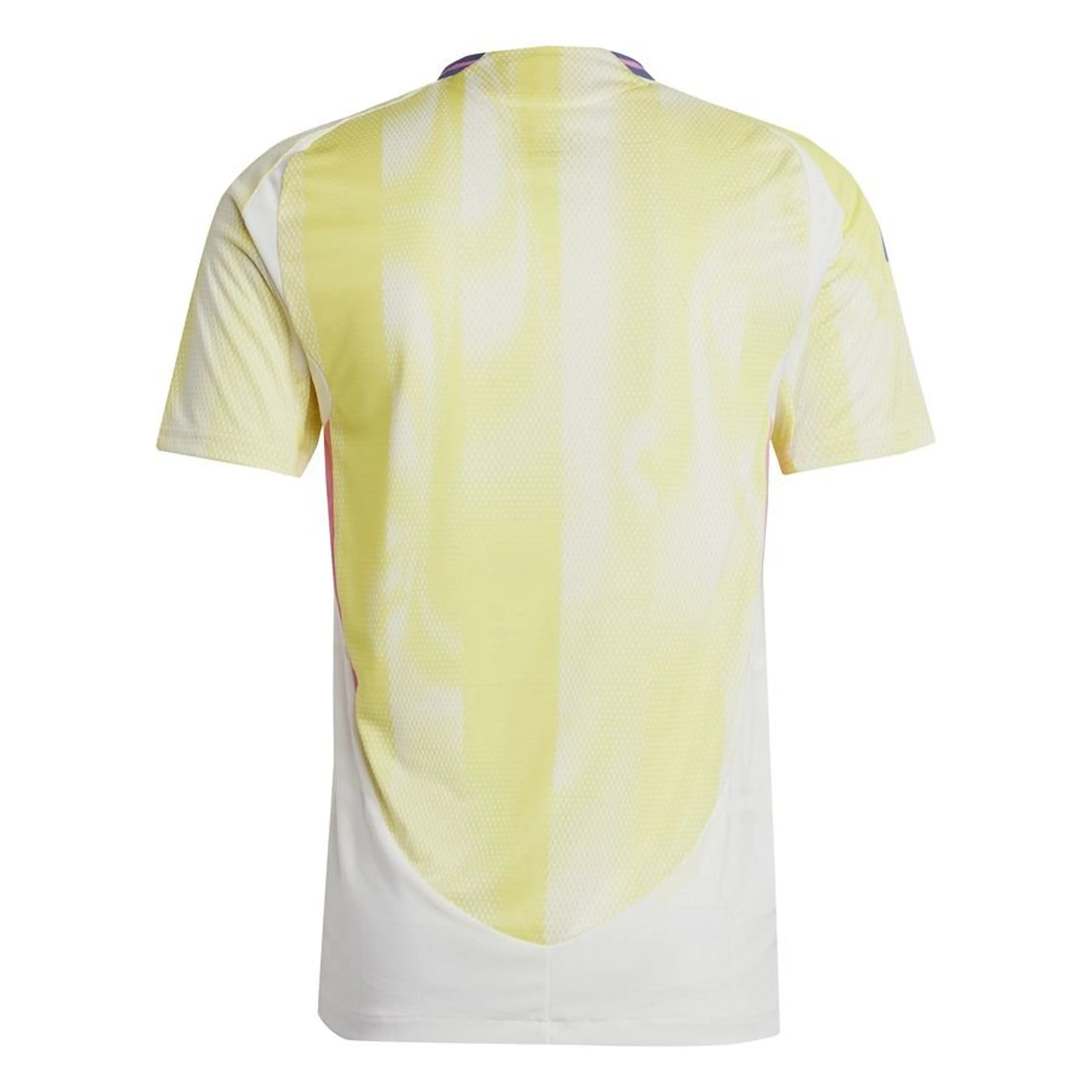 MAILLOT EXTERIEUR JUVENTUS  2024/2025 - JerseyPlugz