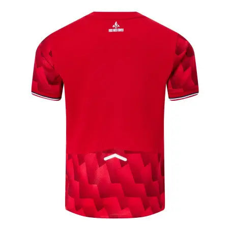 MAILLOT DOMICILE LOSC LILLE 2025 2026 JerseyPlugz